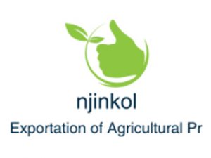 Nissi Jin and Kol Douala Cameroon