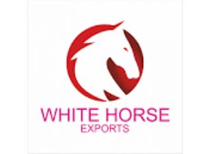 White Horse Exports Surat Gujarat India