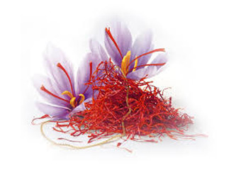 Generous Treasures Greater Noida Uttar Pradesh India