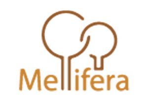 Mellfira Trading and Investment Company Khartoum Sudan Africa