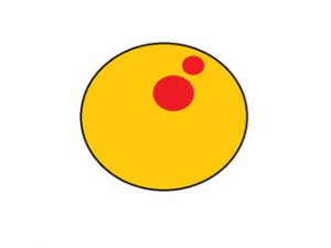 Shilpa Spices Ahmedabad Gujarat India