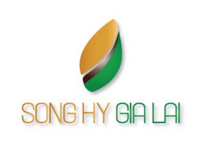 Song Hy Gia Lai Pleiku Vietnam