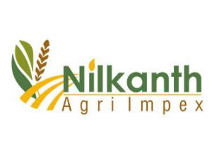 Nilkanth Agri Impex Rajkot Gujarat India