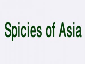 Spicies of Asia Piliyandala Sri Lanka