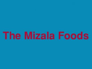 The Mizala Foods Indore Madhya Pradesh India