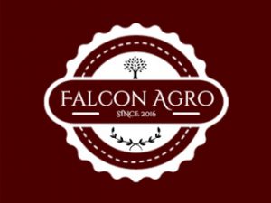 Falcon Agro Noida Uttar Pradesh India