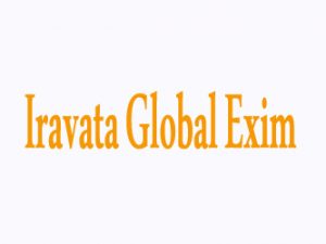 Iravata Global Exim Navi Mumbai Maharashtra India