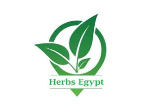 Herbs Egypt Fayoum Egypt