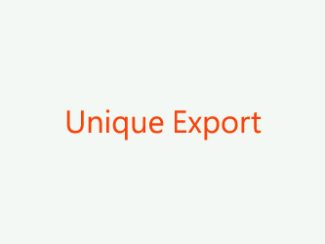 Unique Export Gurugram Haryana India