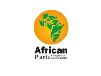 African Plants Ibsheway Egypt