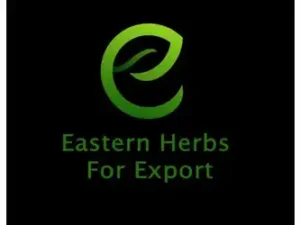 Eastern Herbs Fayoum Egypt