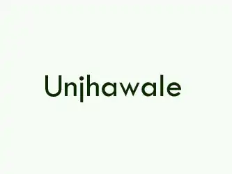 Unjhawale Surat Gujarat India