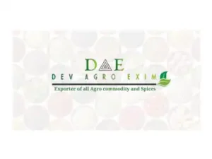 Dev Agro Exim Neemuch Madhya Pradesh India