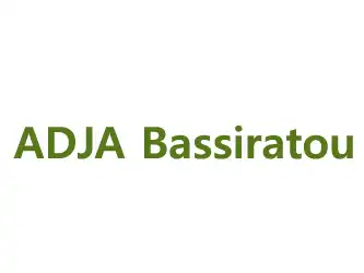 ADJA Bassiratou Ouagadougou Burkina Faso