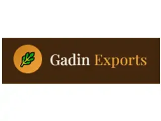 Gadin Technologies Gurugram Haryana India