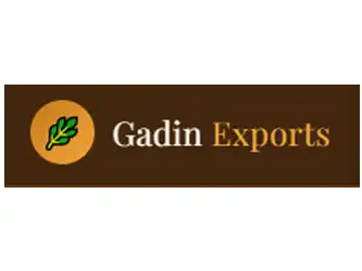 Gadin Technologies Gurugram Haryana India